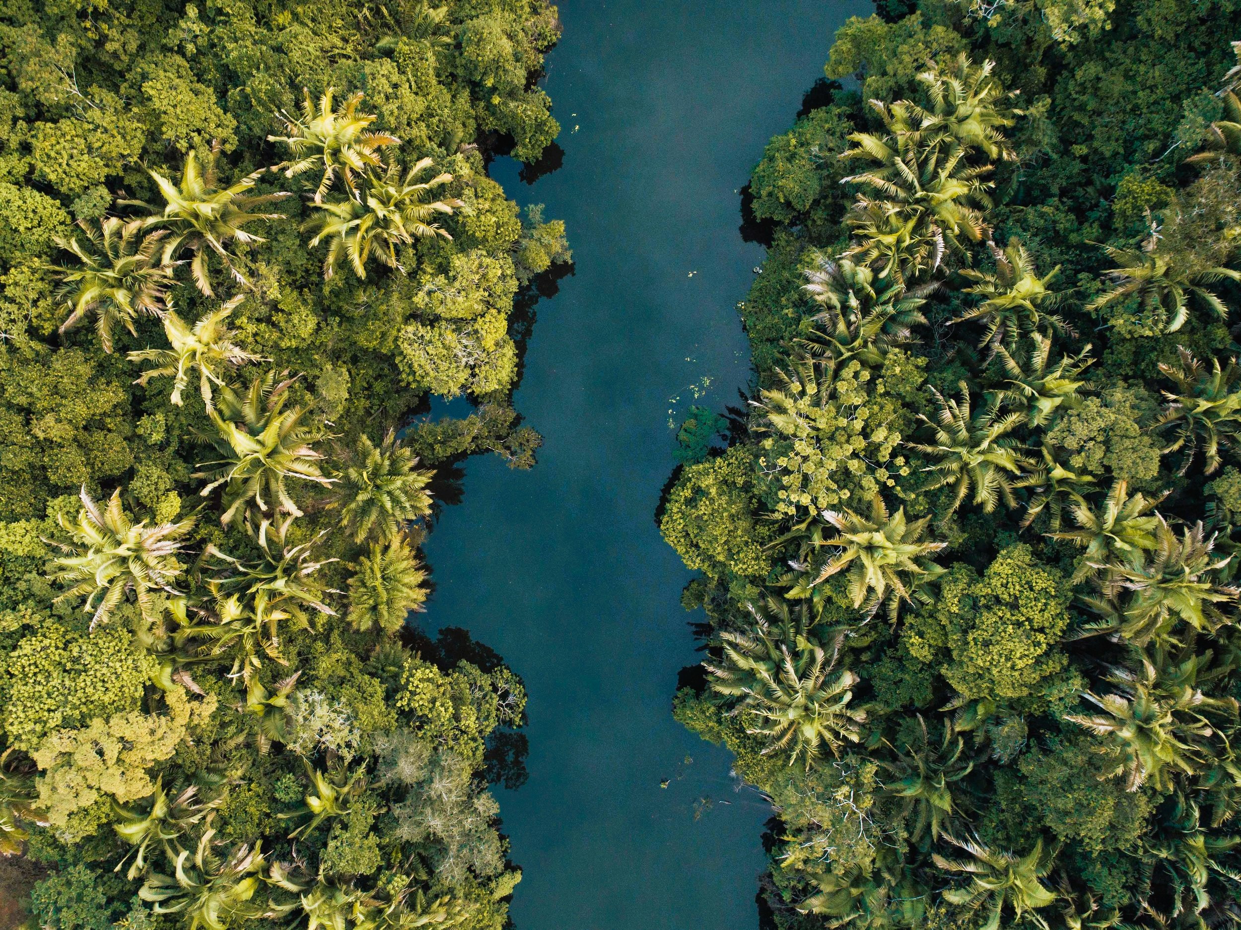 CANAL LAGO TARAPOTO AMAZONAS