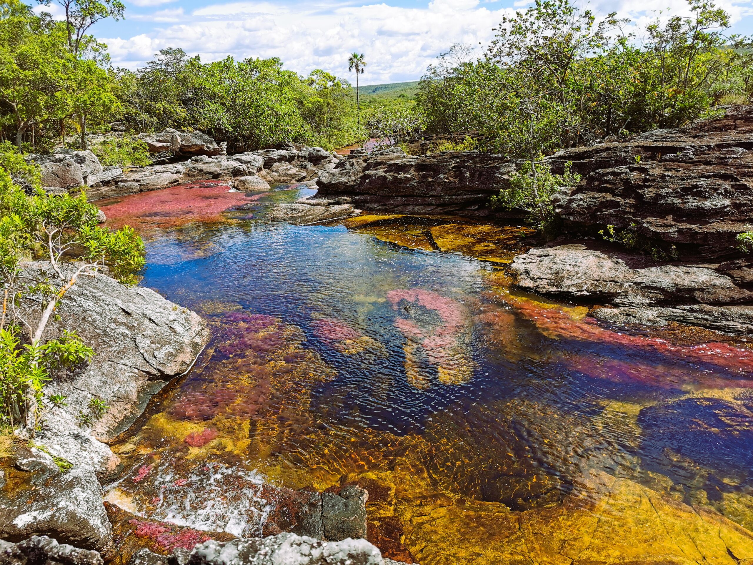 CAÑO CRISTALES