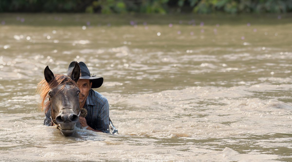 CASANARE