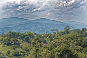 Colombia ancestrale: un viaggio dove la memoria si fa pietra, canto e foresta