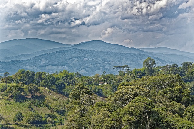 Colombia ancestrale: un viaggio dove la memoria si fa pietra, canto e foresta