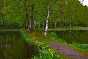 Allemansrätten, la libertà di entrare nella natura