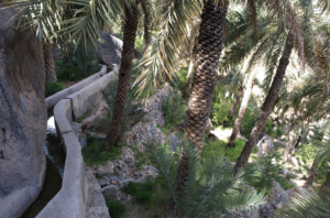 Aflaj, gli antichi canali dell’Oman dove l’acqua si divideva seguendo il sole e le stelle